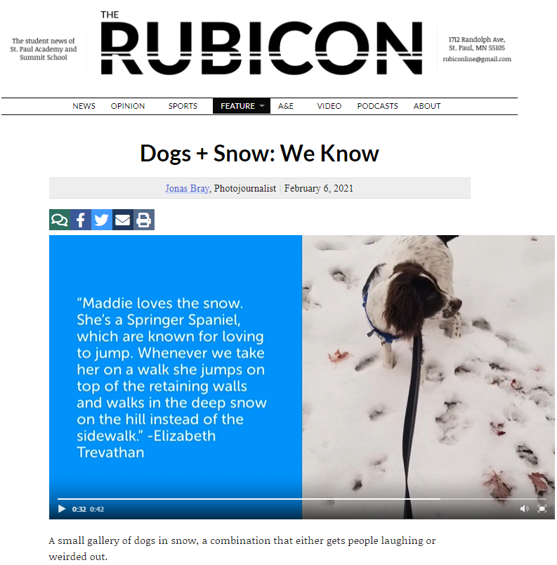 Dogs + Snow: We Know